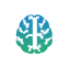 neurologia